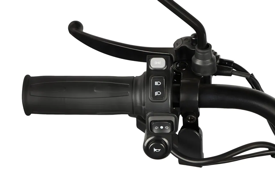 Geco CX2 R110 3-Rad scooter Elektromobil 60V 1000W detail 20