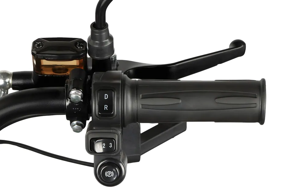 Geco CX2 R110 3-Rad scooter Elektromobil 60V 1000W detail 21