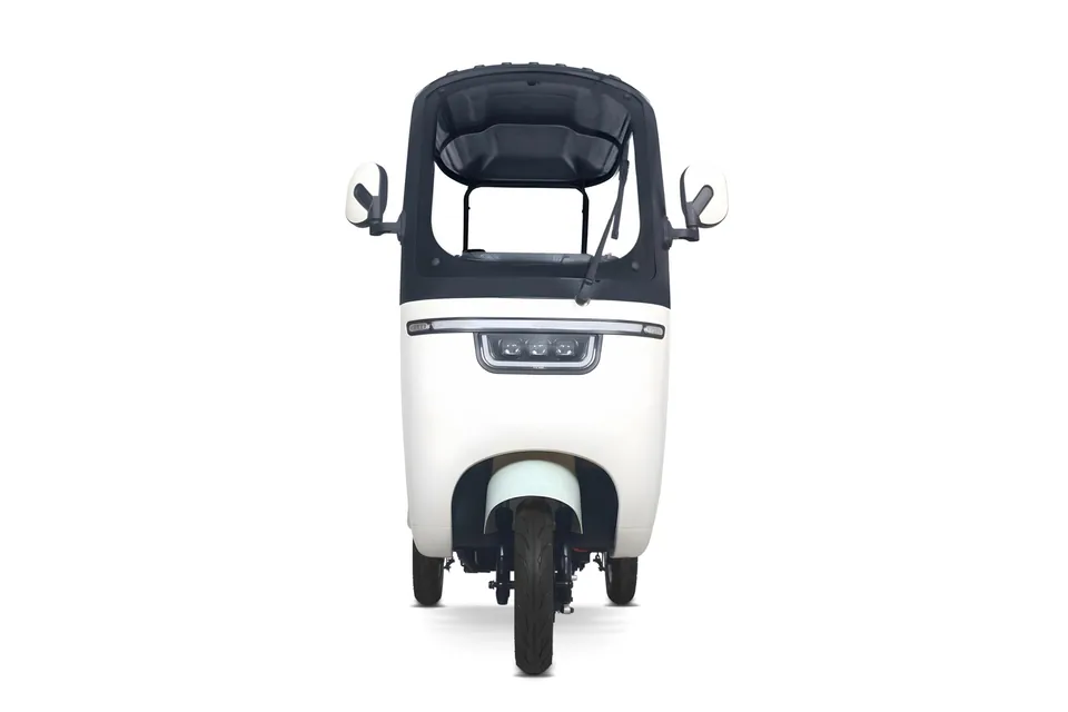 Geco CX2 RD110 3-Rad Scooter Elektromobil mit Dach 60V 1000W pilt 7