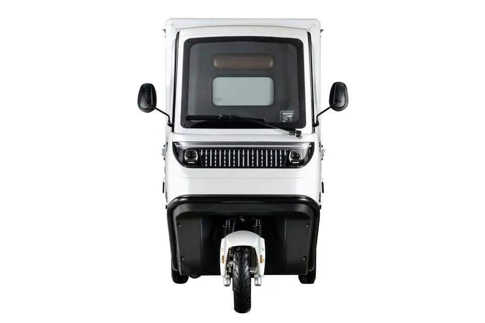 EEC Elektroauto Geco Flexi Food Truck gXC inkl. LiFePO4 Koffer-Box pilt 11