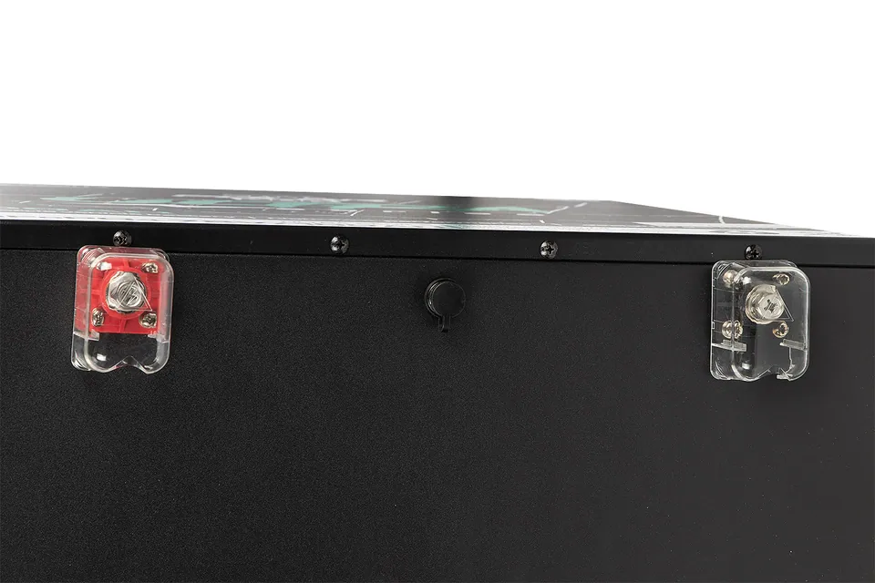 72V | 100Ah Polar Bär Ultra LiFePO₄ Lithium Batterie mit BMS App | Akku für Elektromobile Fahrzeuge pilt 4