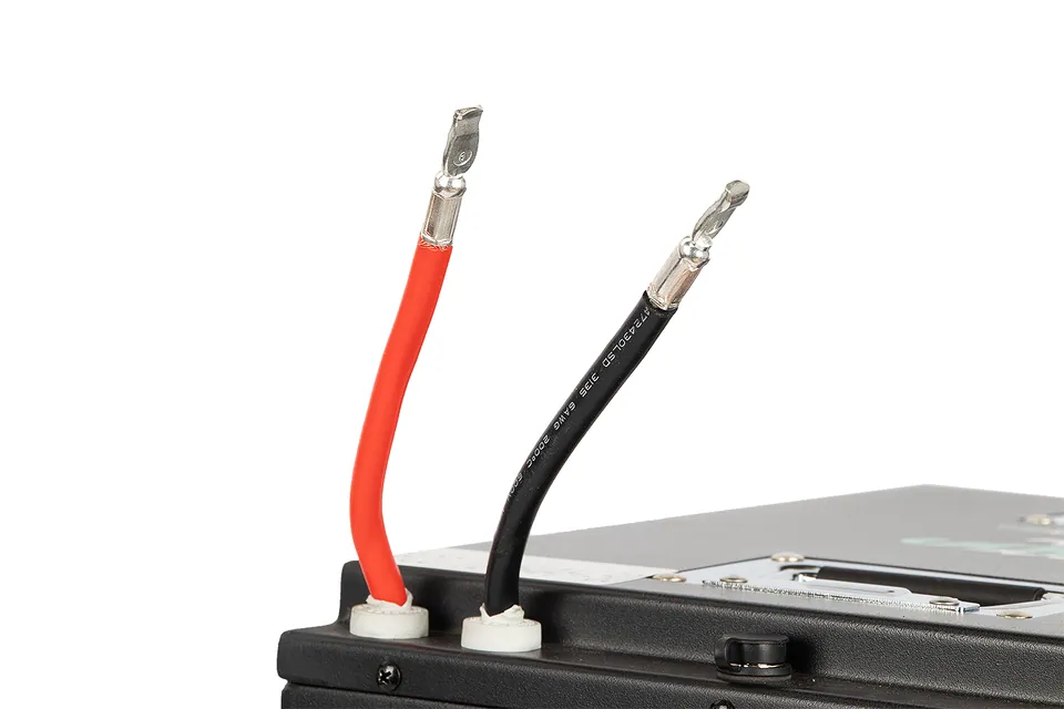 72V | 54Ah Polar Bär Ultra LifePO4 Lithium Batterie mit BMS App | Akku für Elektro mobile Fahrzeuge pilt 5